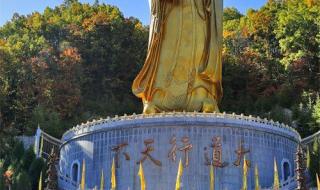 老君山风景区门票价格